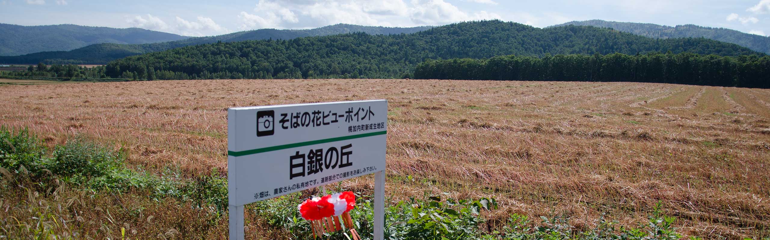 日本一 が３つあるまち